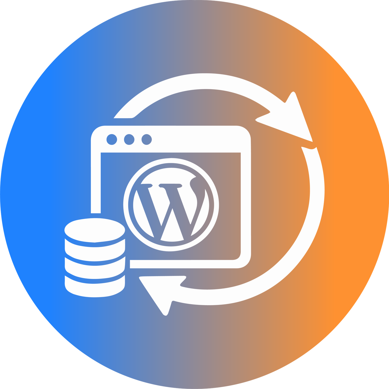 WordPress Migration