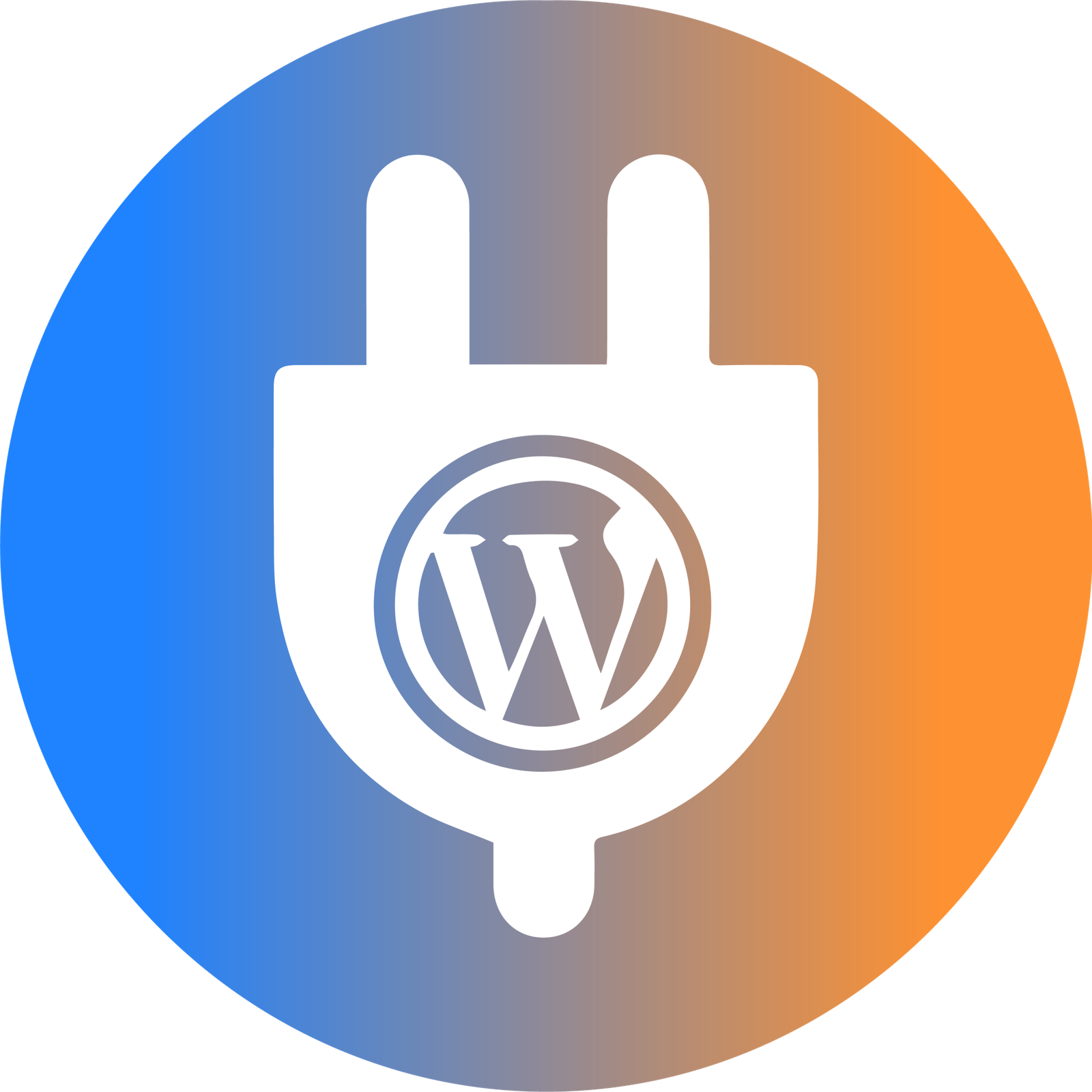 WordPress Plugin Development & Integration