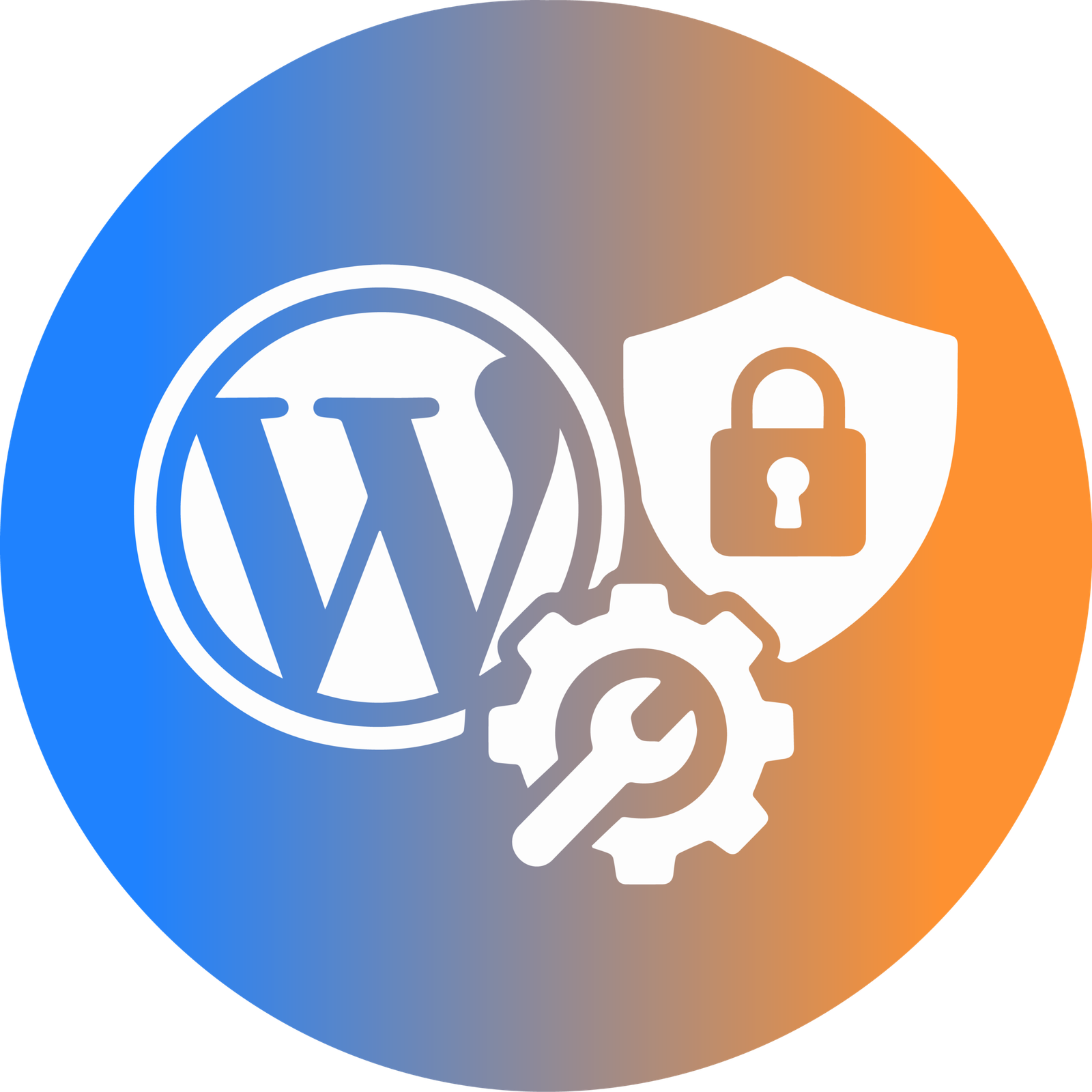 WordPress Speed, Security & Maintenance